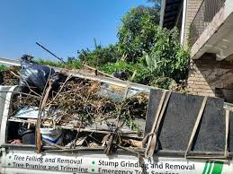 Best Appliance Removal  in Tallapoosa, GA