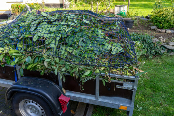 Best Dumpster Rental Services  in Tallapoosa, GA